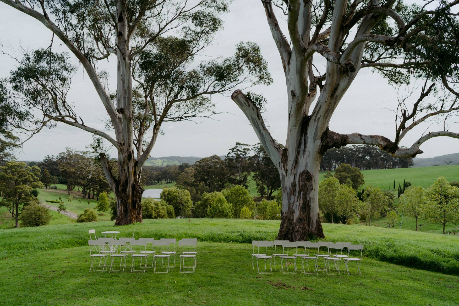 Empty white chairs arranged for a wedding ceremony in a grassy field with towering gumtrees and a scenic landscape backdrop