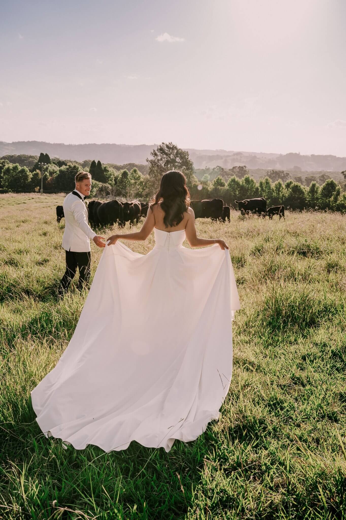 A bride and groom in a pastoral setting, with the bride's gown flowing in the wind, creating a striking image against the backdrop of grazing cattle and rolling hills